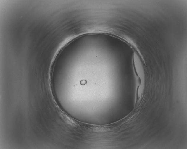 X0000052941480200507300005