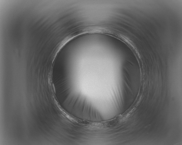 X0000052941481200507300005