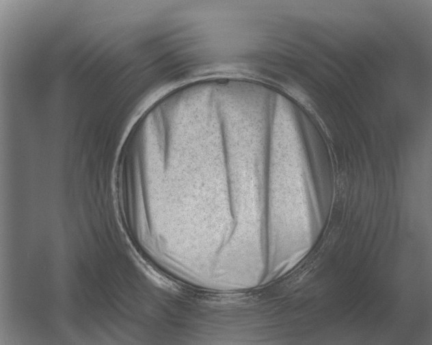 X0000052941482200507300005