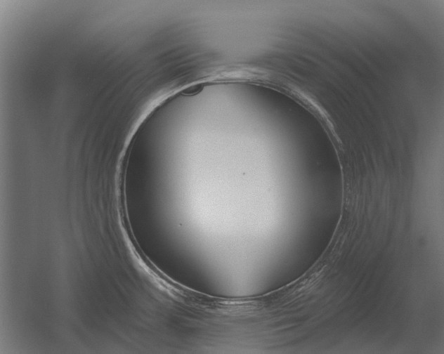 X0000052941483200507300005