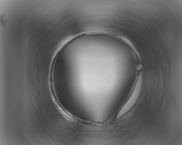 X0000052941485200507300005