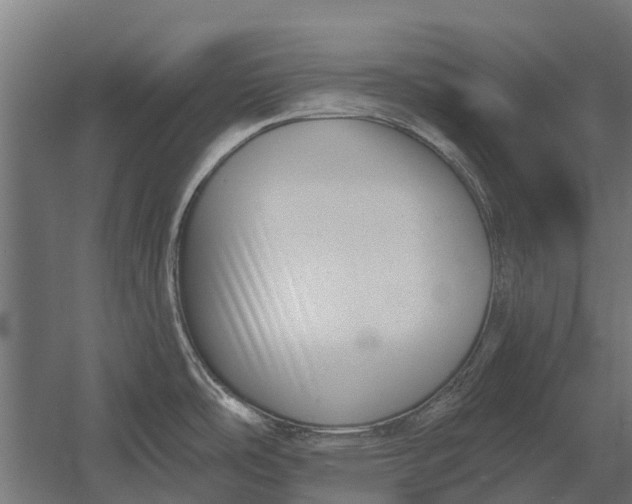 X0000052941486200507300005