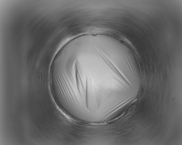 X0000052941487200507300005