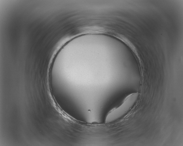 X0000052941488200507300005