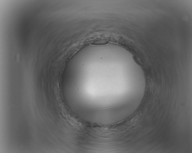 X0000052941489200507300004