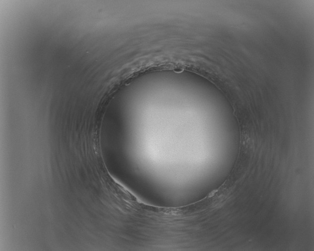 X0000052941490200507300004