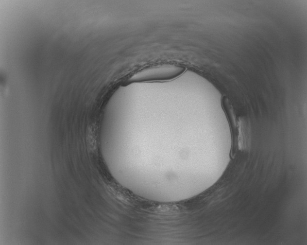 X0000052941491200507300004