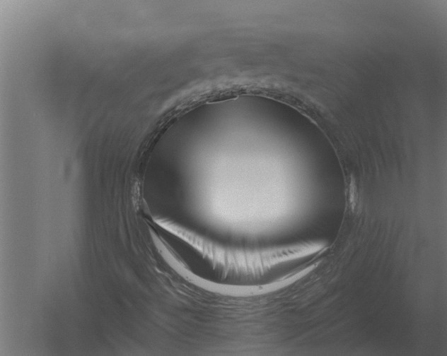 X0000052941492200507300004