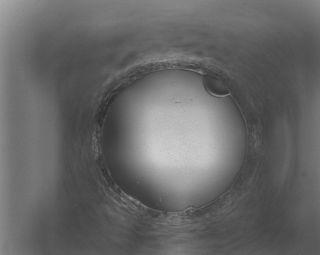 X0000052941493200507300004