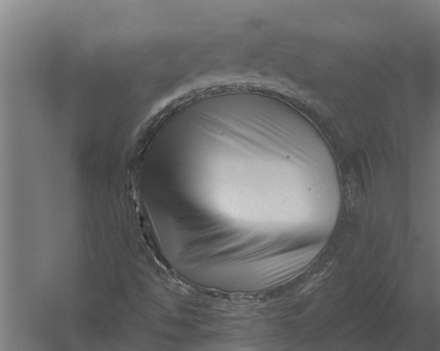 X0000052941494200507300004