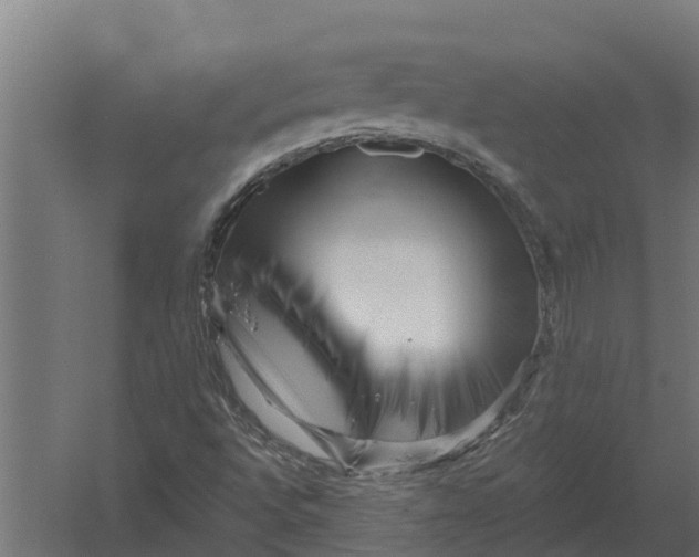 X0000052941496200507300004