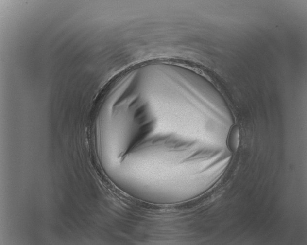 X0000052941497200507300004