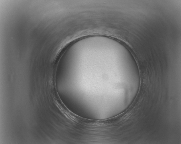 X0000052941499200507300004