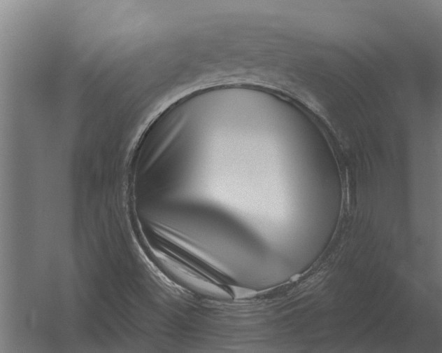 X0000052941500200507300004