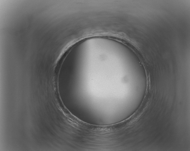 X0000052941501200507300004