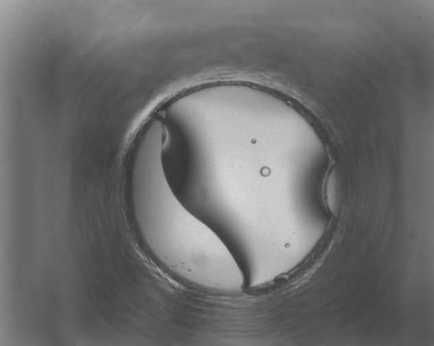 X0000052941502200507300004