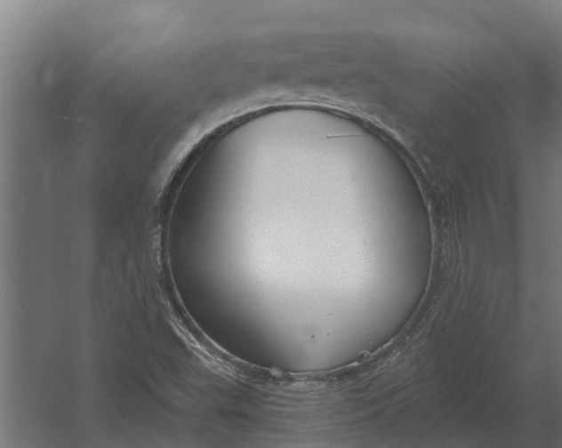 X0000052941503200507300004