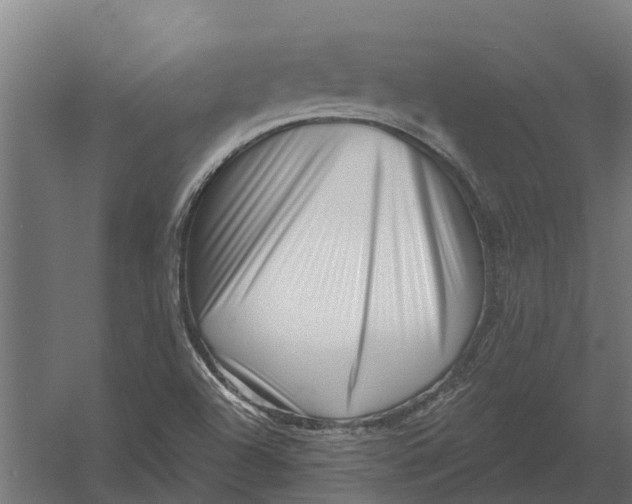 X0000052941504200507300004