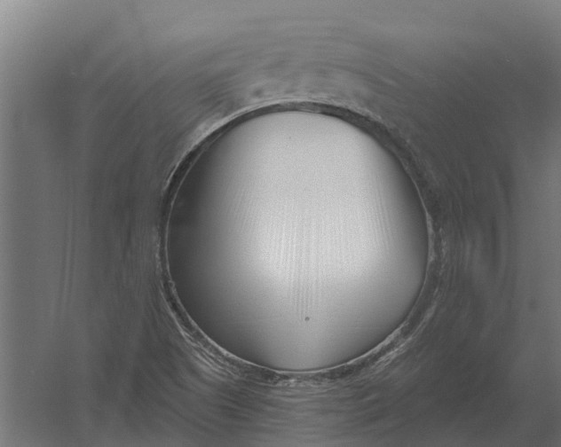 X0000052941505200507300004