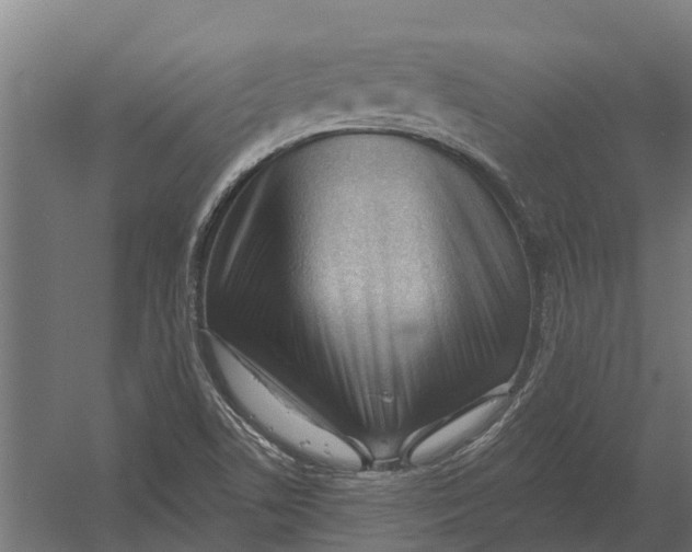 X0000052941506200507300004