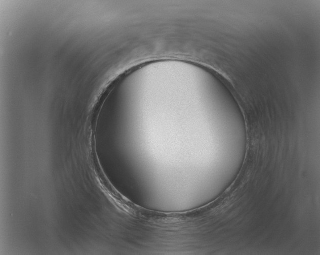 X0000052941507200507300004