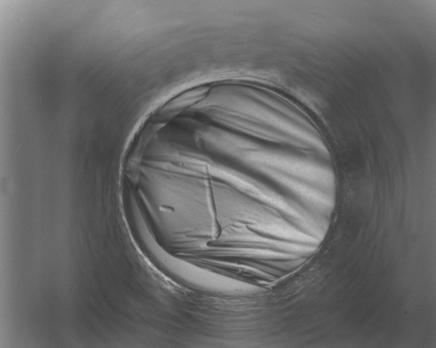 X0000052941508200507300004