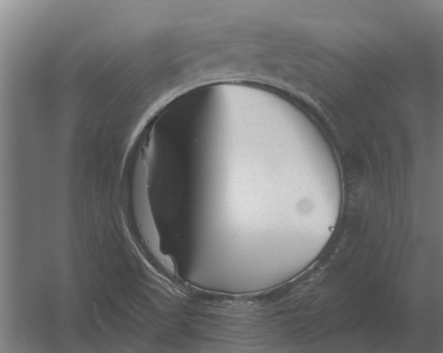 X0000052941509200507300004