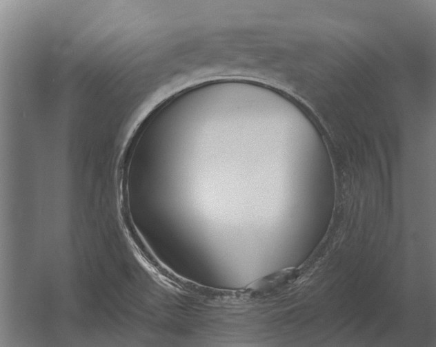 X0000052941511200507300005