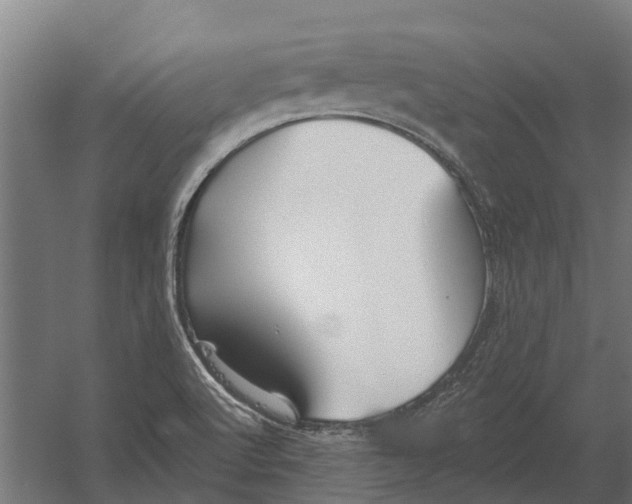 X0000052941512200507300005