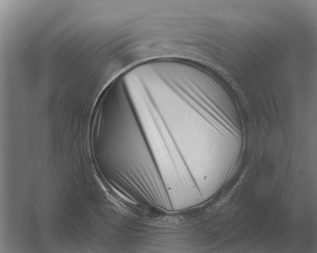 X0000052941513200507300005