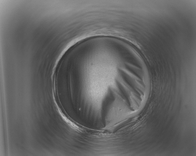 X0000052941515200507300005