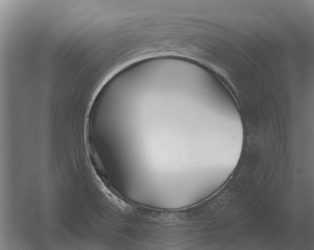 X0000052941516200507300005