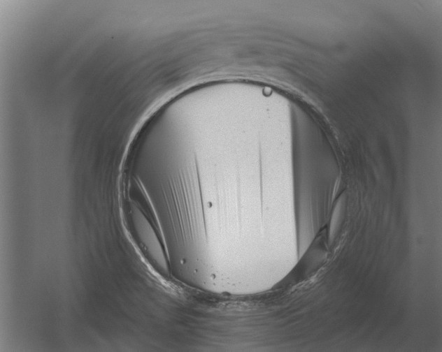 X0000052941517200507300005