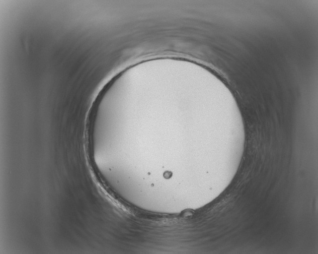 X0000052941518200507300005