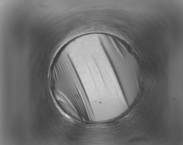 X0000052941519200507300005