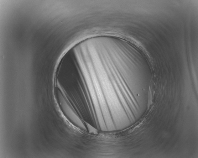 X0000052941520200507300005