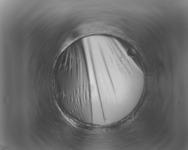 X0000052941521200507300005