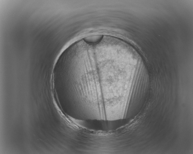 X0000052941522200507300005