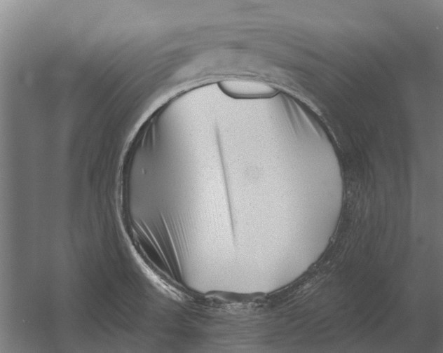 X0000052941523200507300005