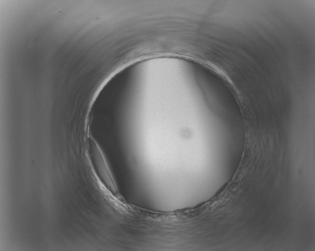 X0000052941524200507300005