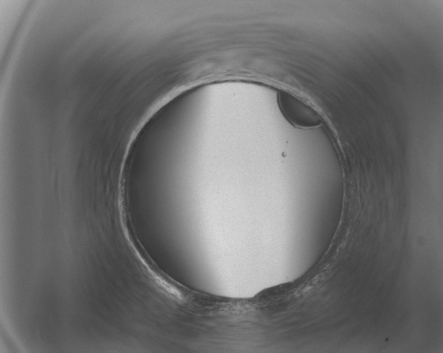 X0000052941525200507300005