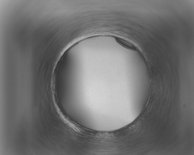 X0000052941526200507300005