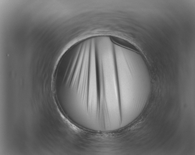 X0000052941527200507300005