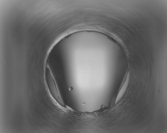 X0000052941528200507300005