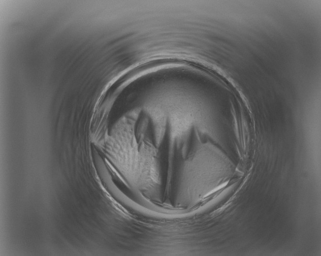 X0000052941529200507300005