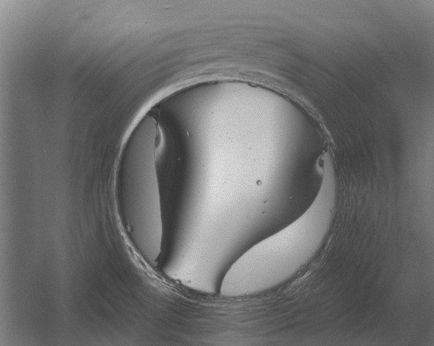 X0000052941530200507300005