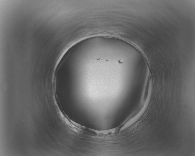 X0000052941532200507300005