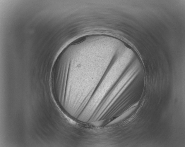 X0000052941533200507300005