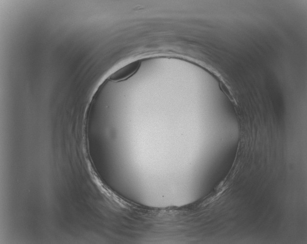 X0000052941534200507300005