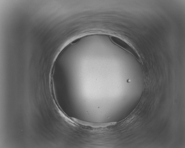 X0000052941535200507300005